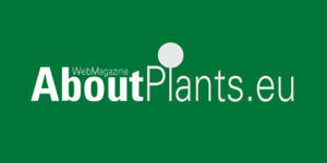 AboutPlants